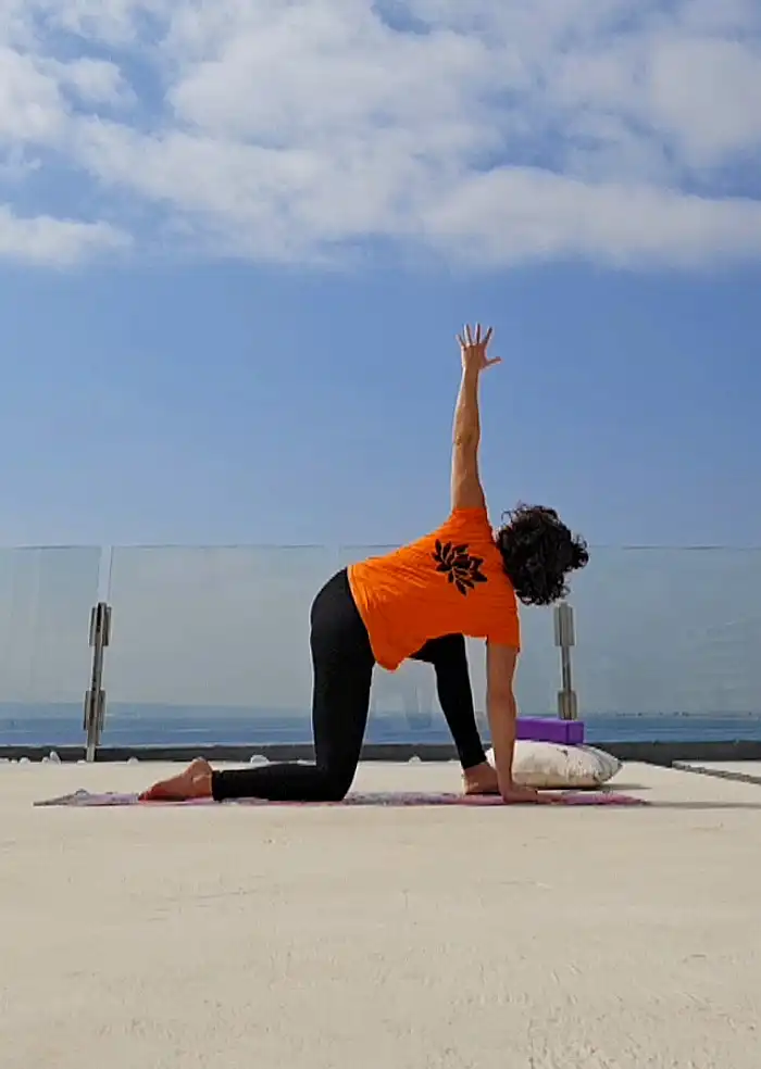 15 minutos de yoga para principiantes: energía y equilibrio en tu día
