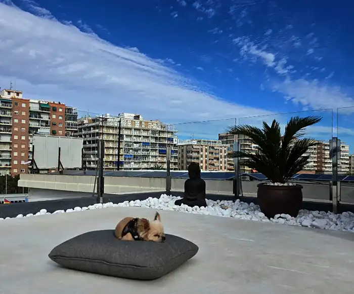 guided breathing for relaxation